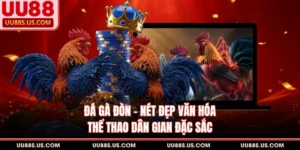 Đá Gà Đòn - Nét Đẹp Văn Hóa Thể Thao Dân Gian Đặc Sắc