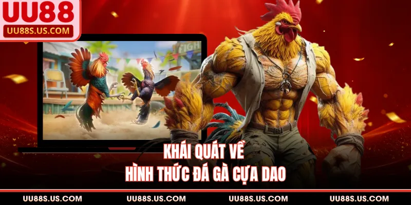 Khái quát về hình thức đá gà cựa dao