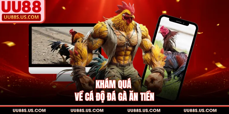 Khám quá về cá độ đá gà ăn tiền