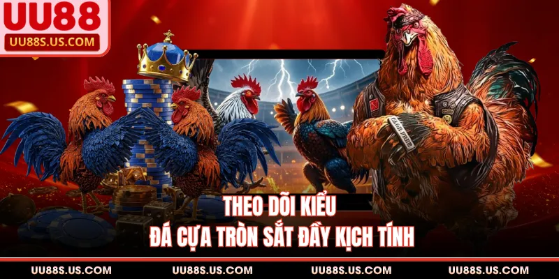Sảnh Gà Thomo UU88 - Nơi Cập Nhật Trận Đấu Đỉnh Cao 2 Theo dõi kiểu đá cựa tròn sắt đầy kịch tính