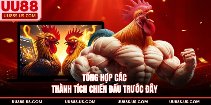 Tổng hợp các thành tích chiến đấu trước đây