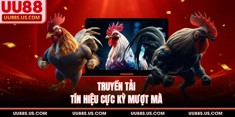 Sảnh Gà Thomo UU88 - Nơi Cập Nhật Trận Đấu Đỉnh Cao 3 Truyền tải tín hiệu cực kỳ mượt mà